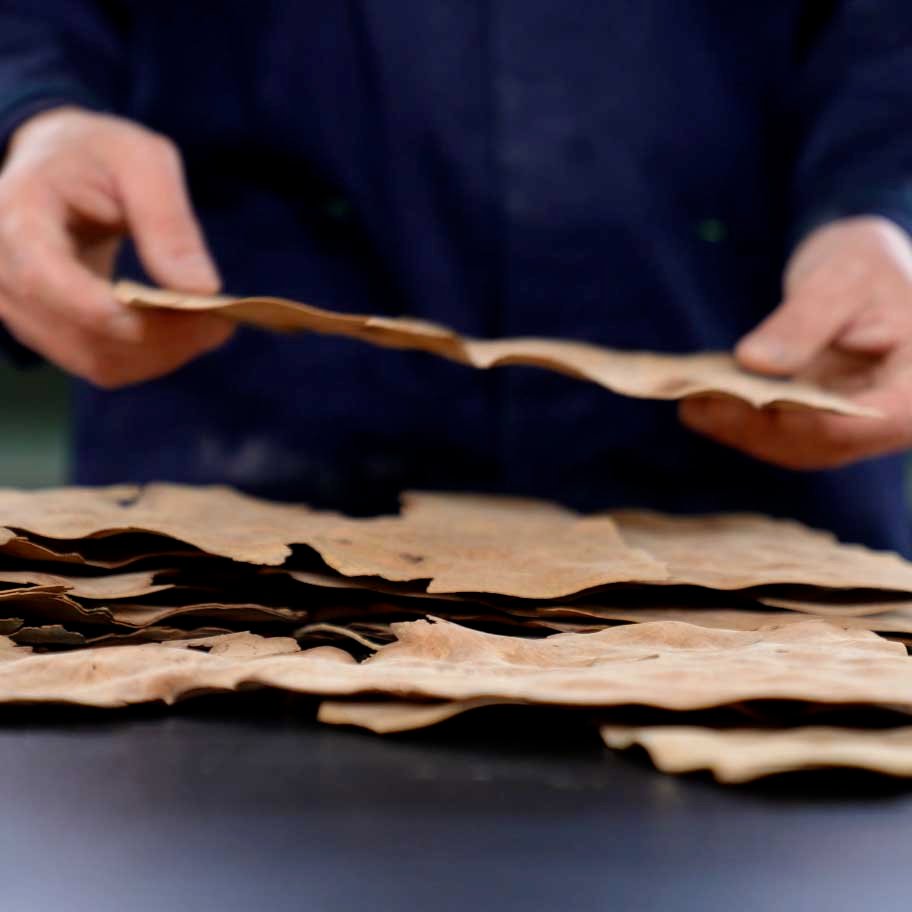 Mani che selezionano sottili fogli di legno naturale per la produzione di occhiali.